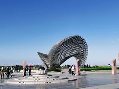 -南汇嘴观海公园