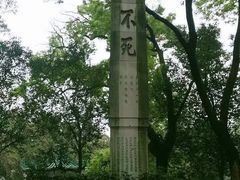 -桂林独秀峰王城景区