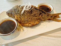 罾蹦鲤鱼-桂园餐厅(五大道店)