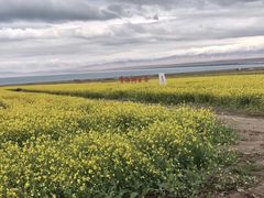 -青海湖国家重点风景名胜区