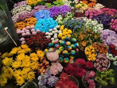 -双季花艺园艺市场(浦东店)