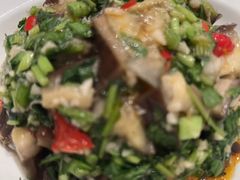 -凯鸽酒楼(大同振兴街店)