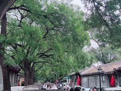 -北京国子监胡同