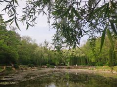 -棒棰岛宾馆景区