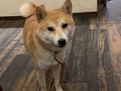-三目仓咖啡(贤南路店)