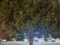 -木塔寺遗址生态公园