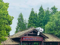 -苏州太湖国家湿地公园