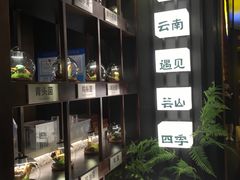 -芸山季·云南山珍菌火锅(人民广场来福士店)