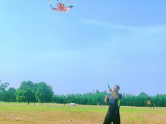 -汉长安城未央宫国家考古遗址公园