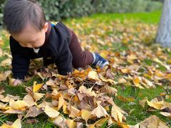 -昆山城市生态森林公园
