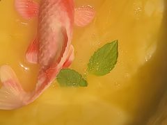 -粤·向群饭店(二沙岛店)
