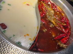 -麻田会 ·鲜活现烹·牛蛙火锅(珠江新城维家思广场店)
