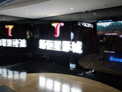 -上海金逸影城(静安大悦城店（原新恒星影城）)