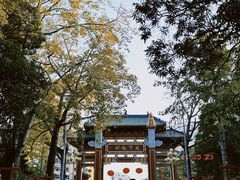 -中山公园