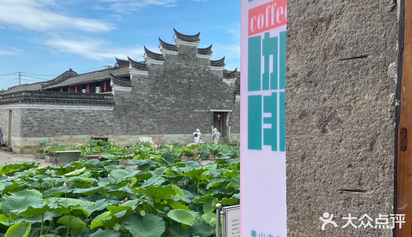 宁波｜总该为了这片荷花池来喝一杯荷塘咖啡吧