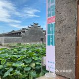 宁波｜总该为了这片荷花池来喝一杯荷塘咖啡吧