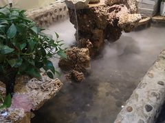 -首钢一九一九大酒楼(石景山店)