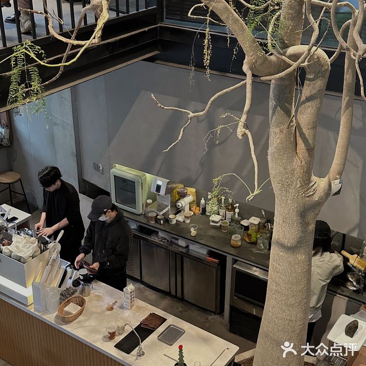 在室内大树旁边喝咖啡☕～自带热带花园的veins绿植咖啡店