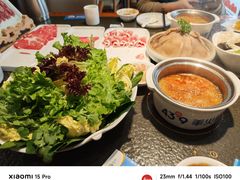 -蒙都43°9羊火锅(平庄店)