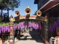 -呀路古热带植物园