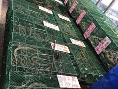 -荔城生鲜盛宴(番禺旗舰店)