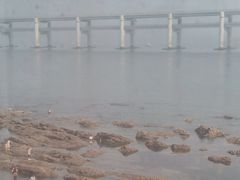 -黑石礁公园