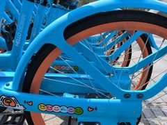 -东方体育中心(地铁站)