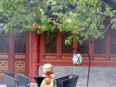 景观位-止观小馆·辽河口渔家菜(王府井店)