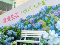 -HALO广场(梨园路店)