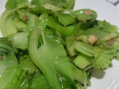 炒水东芥菜-花城苑广府菜(侨鑫店)