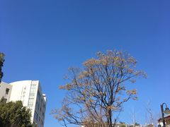 -云南师范大学(一二一西南联大校区)