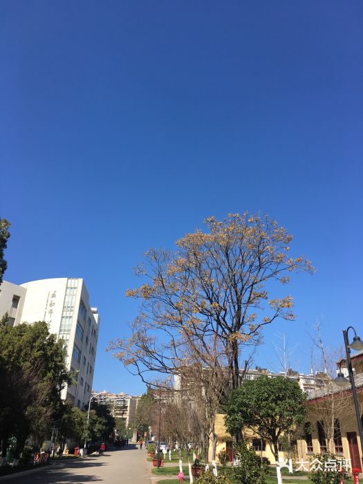 云南师范大学(一二一西南联大校区)图片