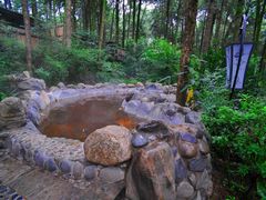 -金方森林温泉