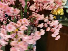 -真剑日本料理·铁板烧(贵州路店)