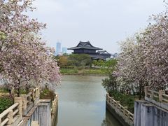 -海珠湖公园