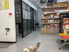 -四月宠物医院·猫专科·心脏专科·内科(转塘店)