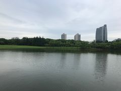 -黄兴公园