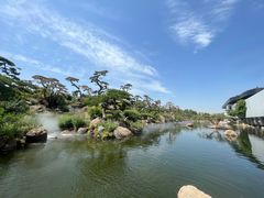 -罗红摄影艺术馆