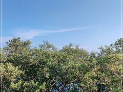 -北海金海湾红树林生态旅游区