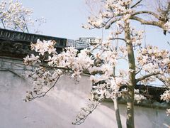 -留园