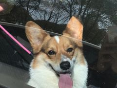 -昆山城市生态森林公园