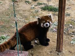 -杭州野生动物世界