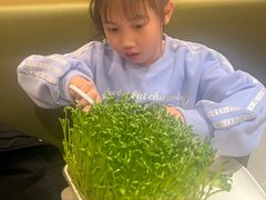 -海底捞火锅(天通苑华联店)