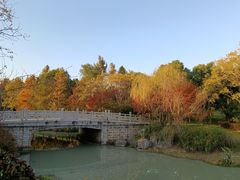 -贡湖湾湿地公园