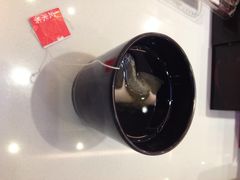 玄米茶-争鲜回转寿司(朝北大悦城店)