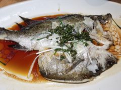 白蕉海鲈鱼-江南原著(中联广场店)