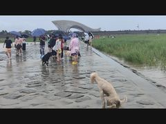 -南汇嘴观海公园