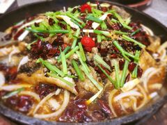 -老板恋上鱼(恒隆广场店)