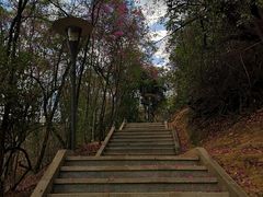 -攀枝花公园
