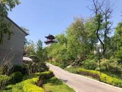-黄金寨原生态旅游区